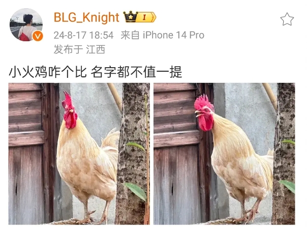 爆？💥BLG瓦knight疑似阴阳FPX：小火鸡咋个比 名字都不值一提